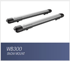 Whispbar WB300 ski carrier
